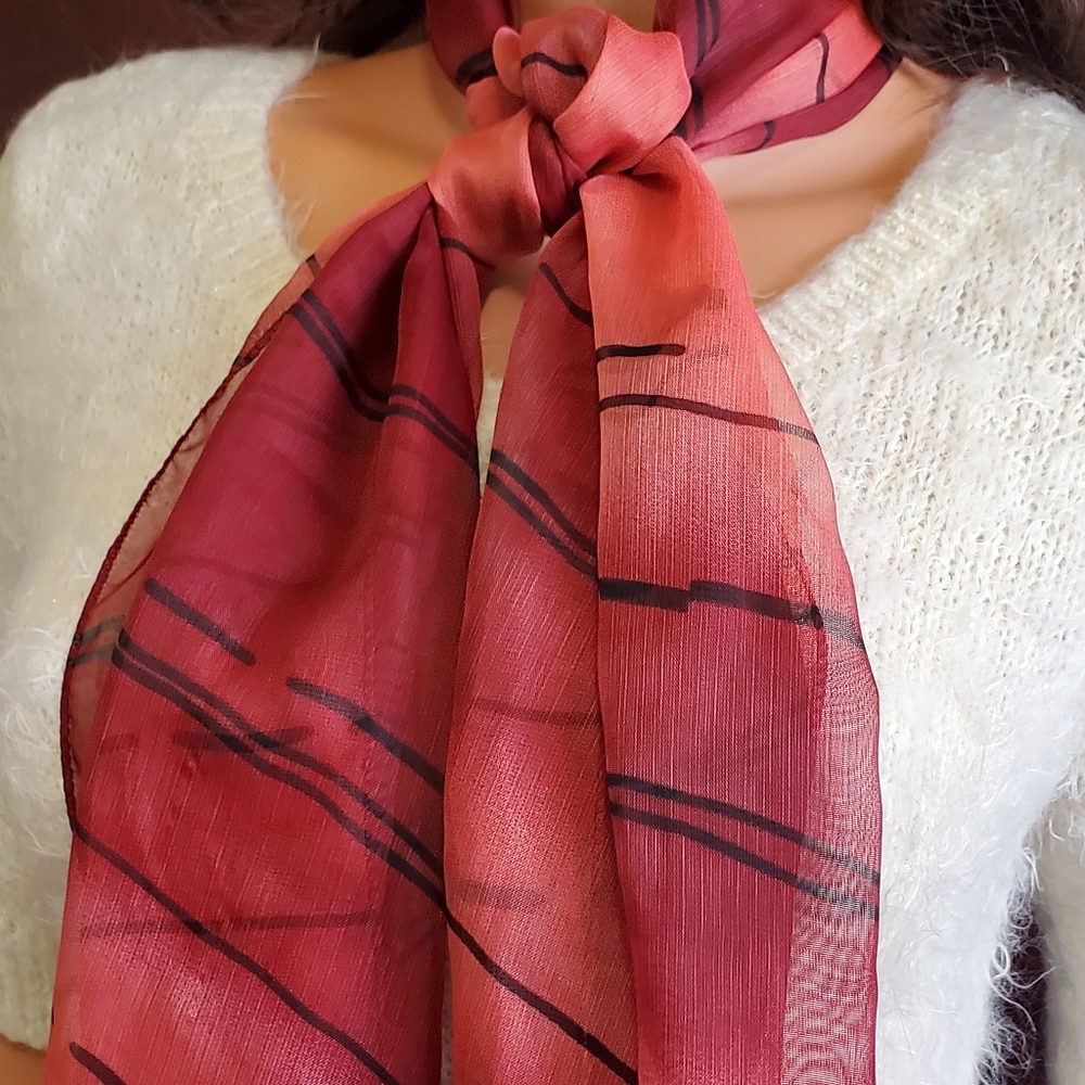 Beautiful Sheer Ombre  Scarf